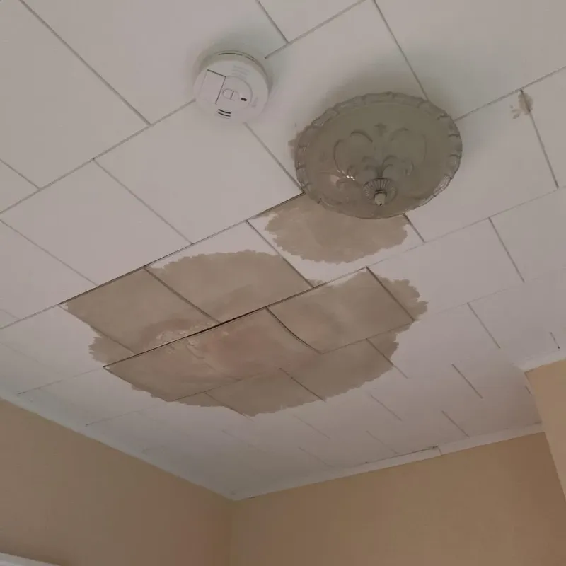 Ceiling Water Damage Repair in Darien, CT