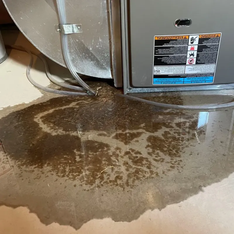 Pipe Burst and Leak Restoration in Darien, CT